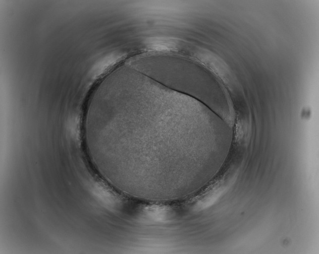 X0000102380444200808011540