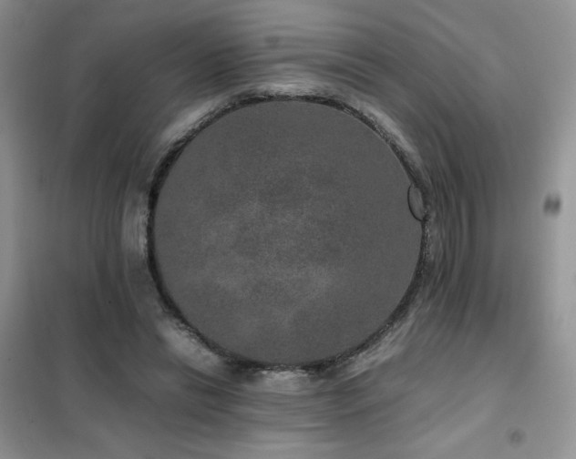 X0000102380446200808011540