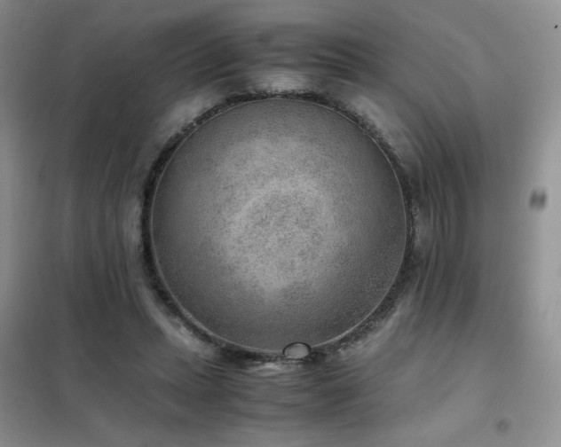 X0000102380447200808011540