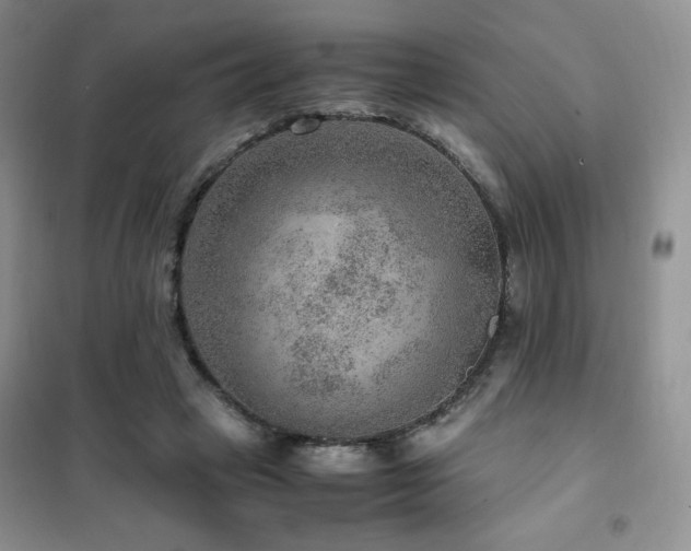 X0000102380449200808011540