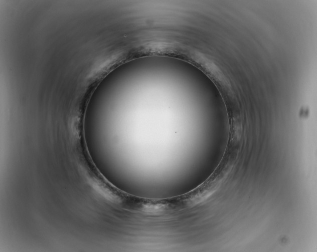 X0000102380450200808011540