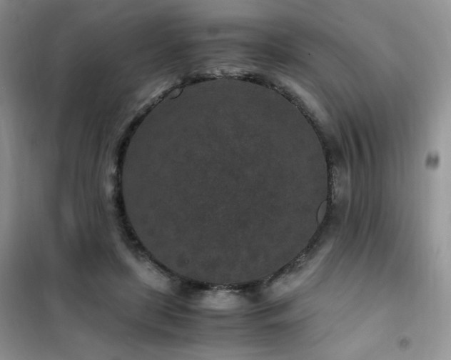 X0000102380451200808011540