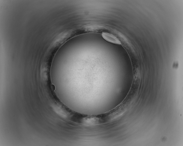 X0000102380452200808011540