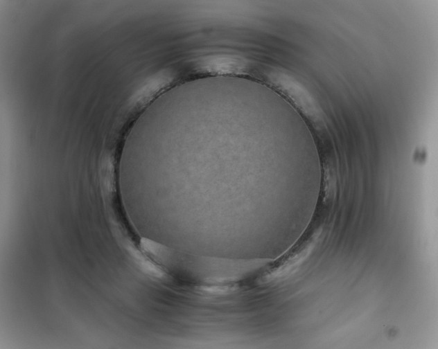 X0000102380453200808011540