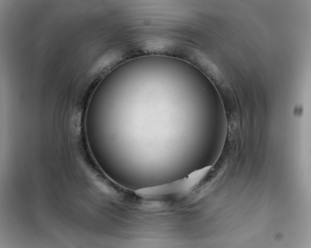 X0000102380454200808011540