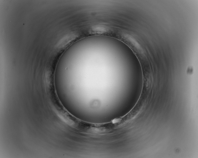 X0000102380455200808011540