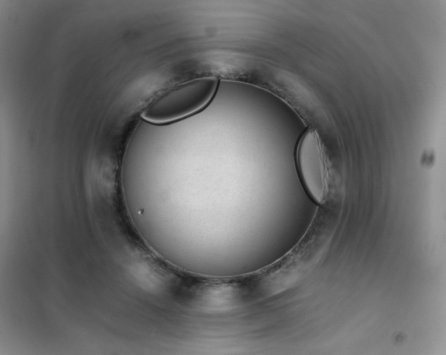 X0000102380456200808011540