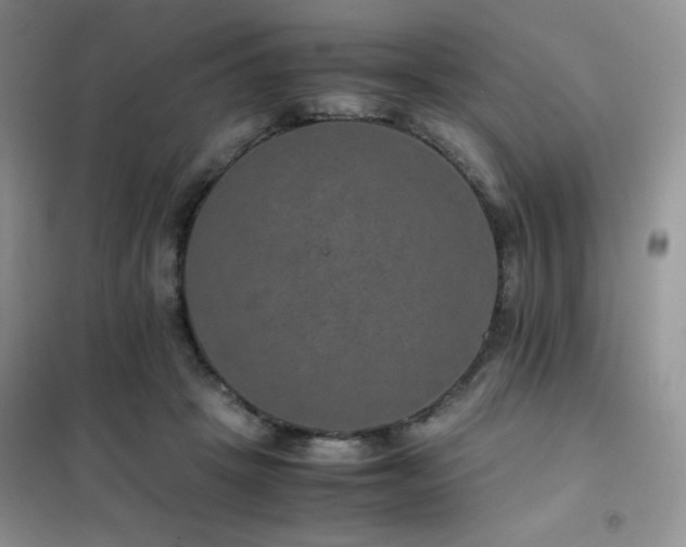 X0000102380457200808011540
