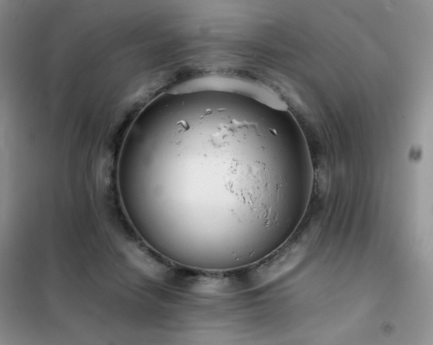 X0000102380458200808011540