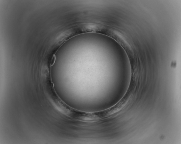X0000102380459200808011541