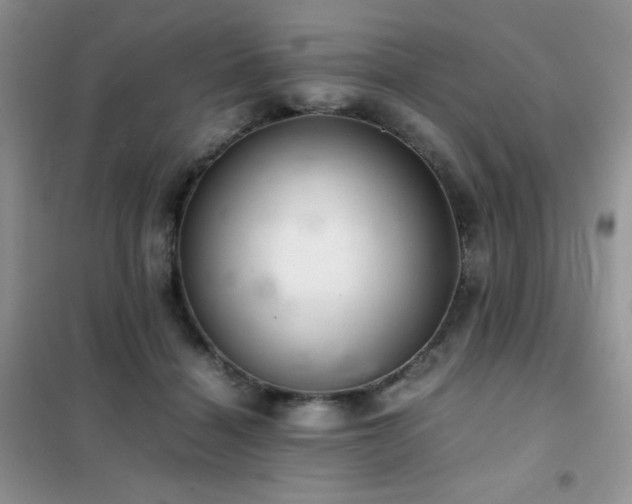 X0000102380460200808011541