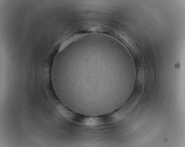 X0000102380461200808011541