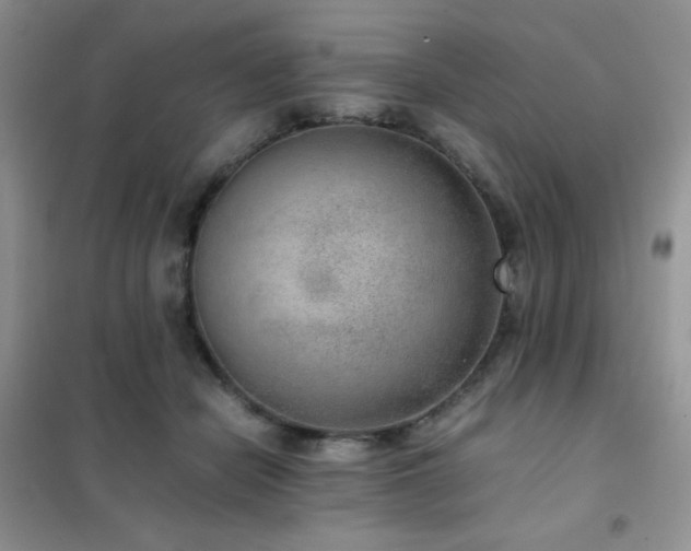 X0000102380462200808011541