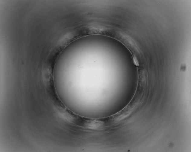 X0000102380463200808011541