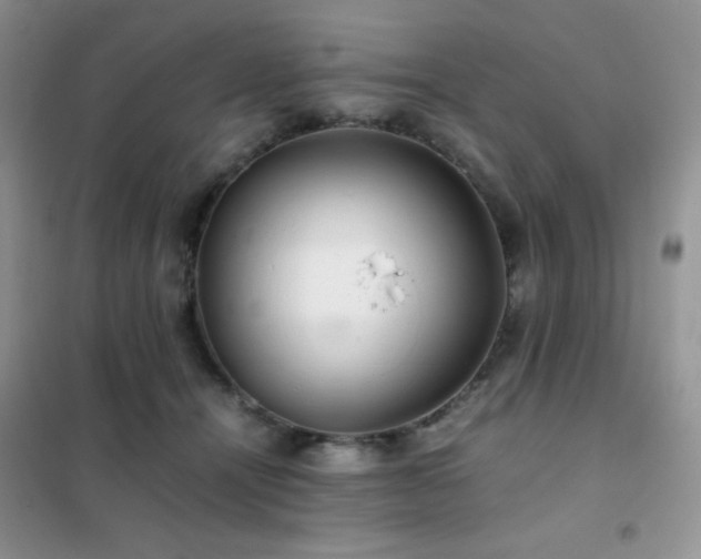 X0000102380464200808011541