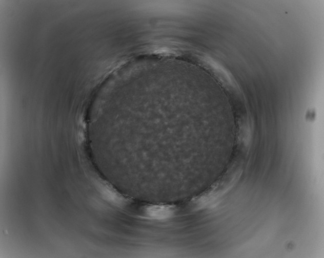 X0000102380465200808011541