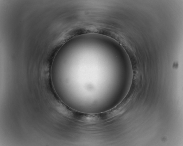 X0000102380466200808011541