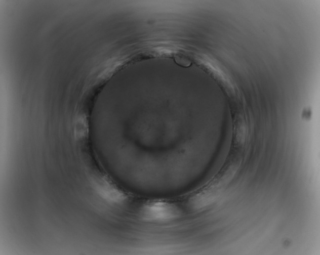 X0000102380467200808011541