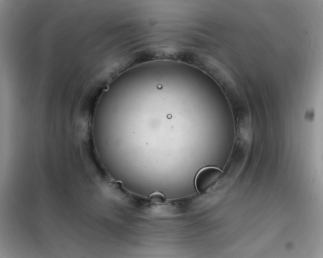 X0000102380468200808011541