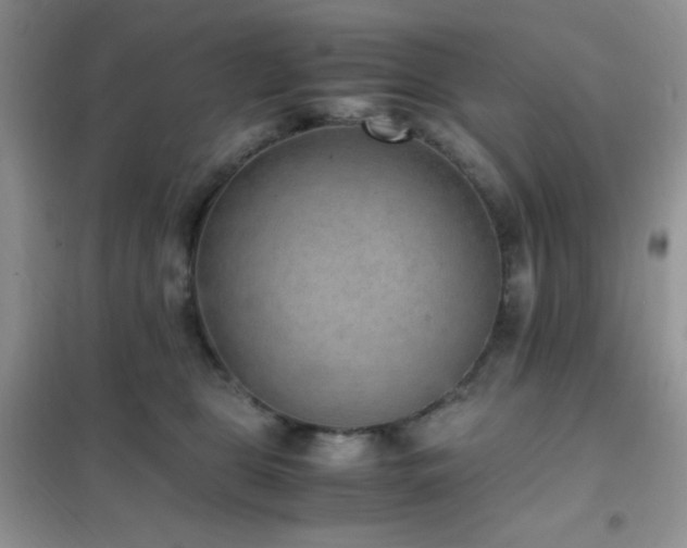 X0000102380469200808011541