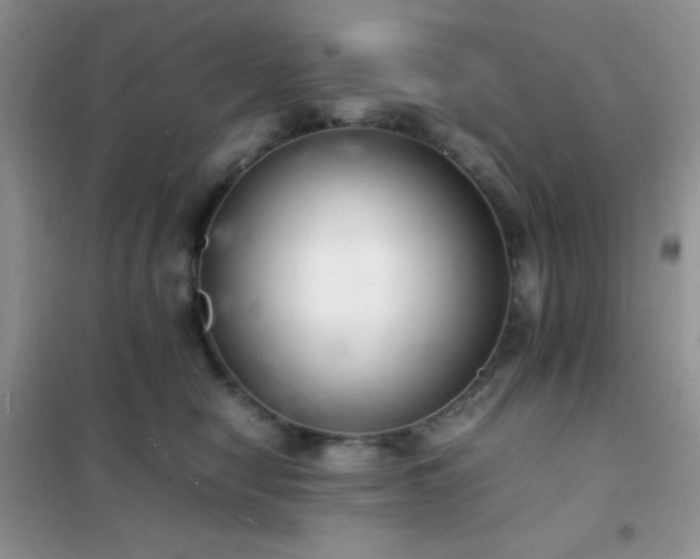 X0000102380470200808011541