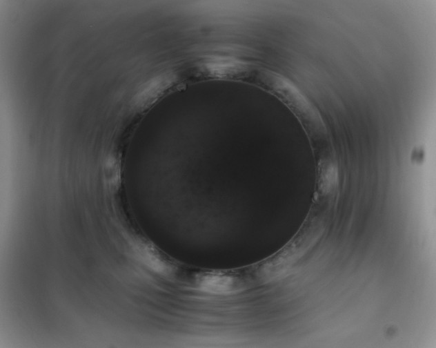 X0000102380471200808011541