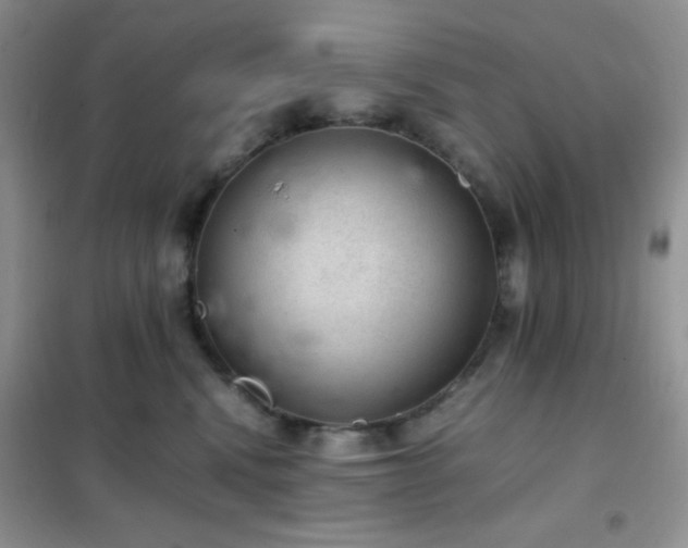 X0000102380472200808011541