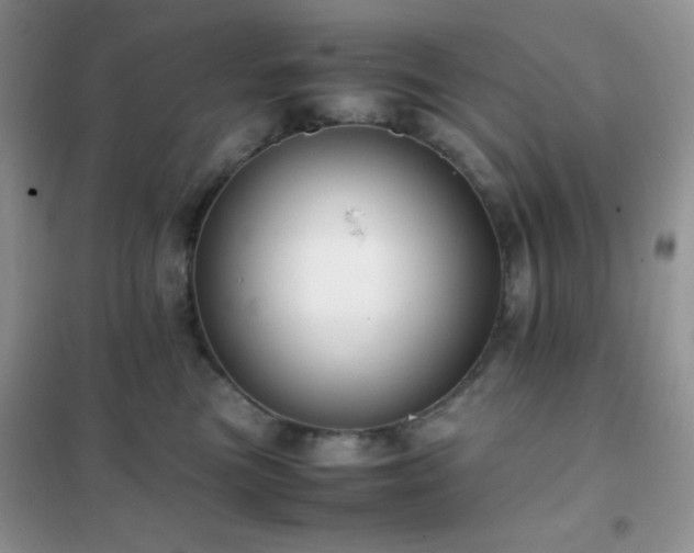 X0000102380473200808011541