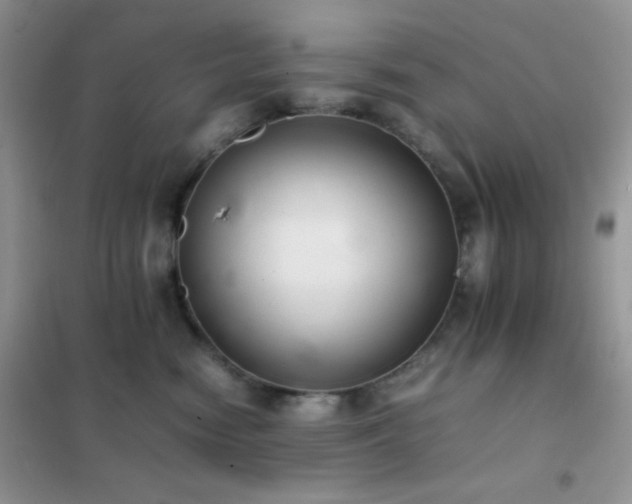 X0000102380474200808011541