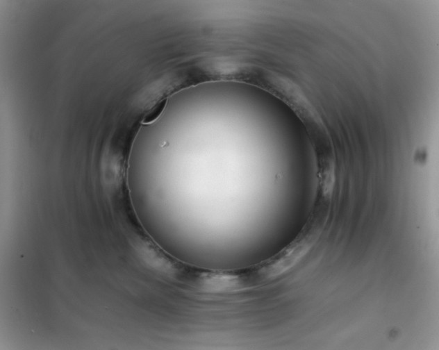 X0000102380476200808011541