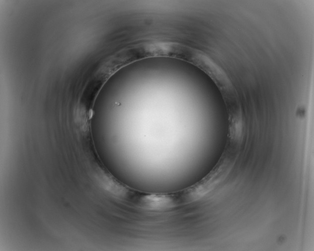X0000102380477200808011541