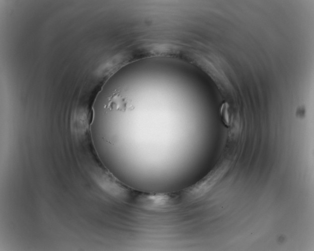 X0000102380478200808011541