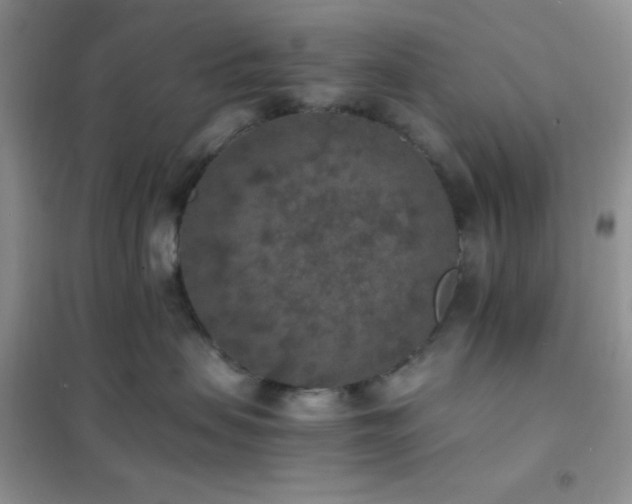 X0000102380479200808011541