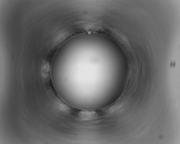 X0000102380480200808011541