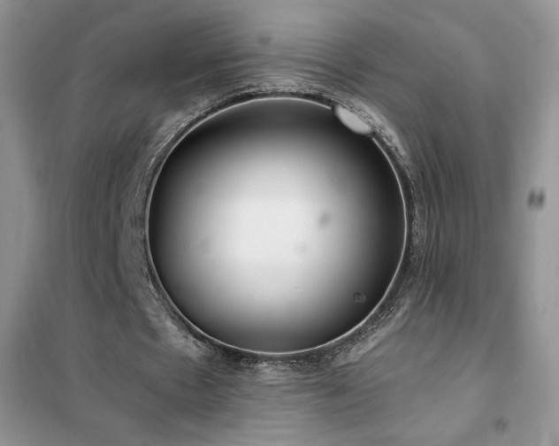 X0000102380481200808011540