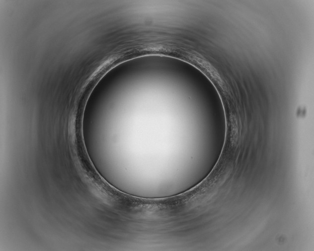 X0000102380482200808011540