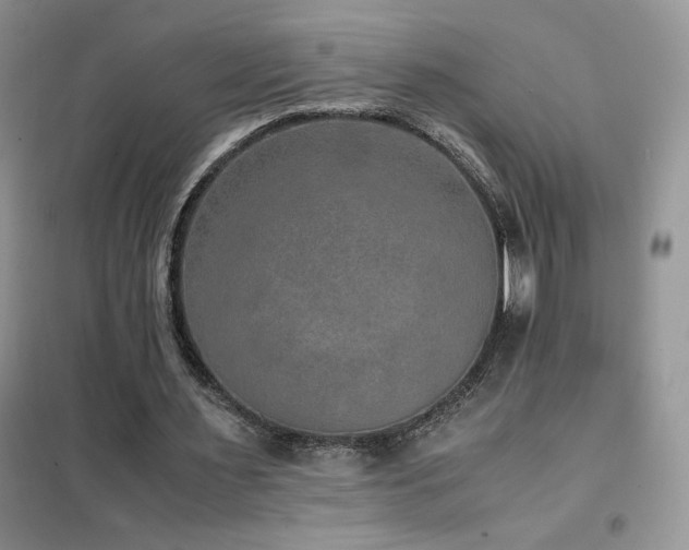 X0000102380483200808011540