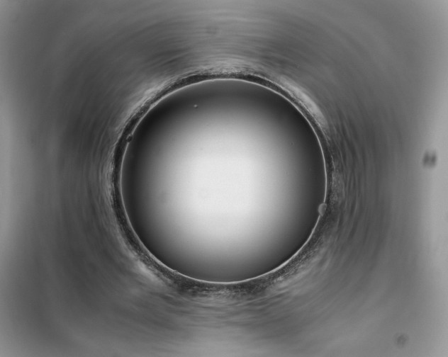 X0000102380485200808011540