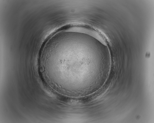 X0000102380487200808011540