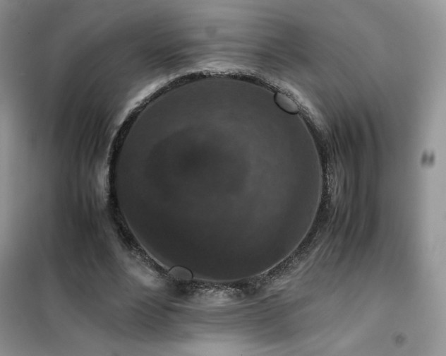 X0000102380488200808011540