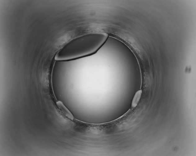 X0000102380489200808011540