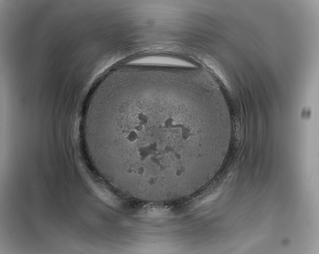 X0000102380491200808011540