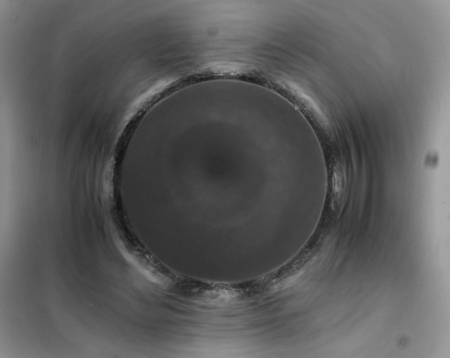 X0000102380492200808011540