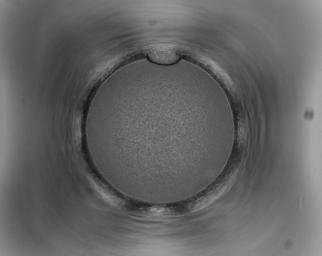 X0000102380493200808011540