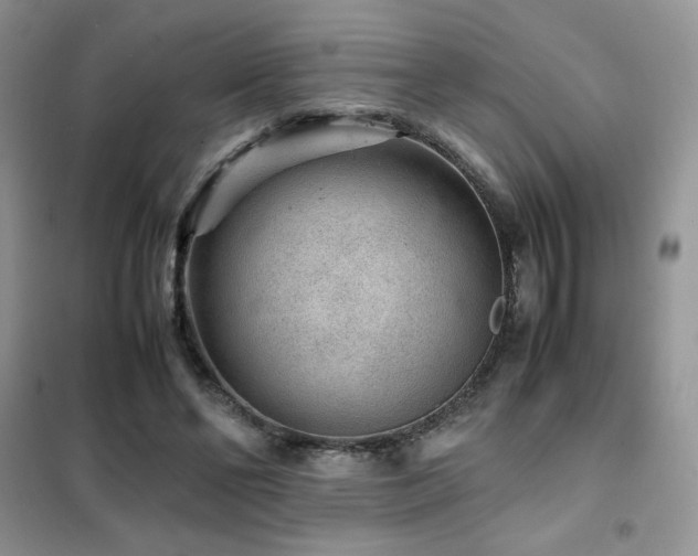 X0000102380494200808011540