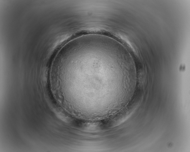 X0000102380495200808011540