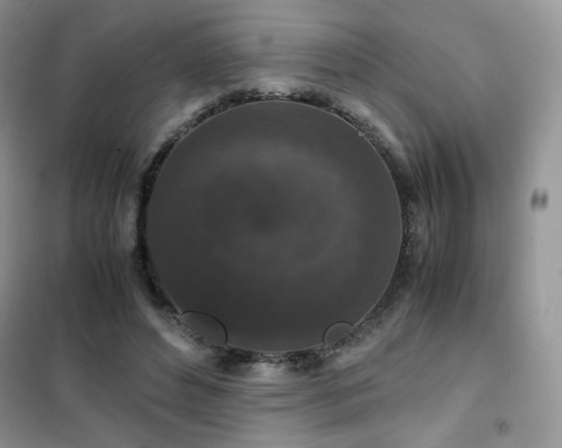 X0000102380496200808011540