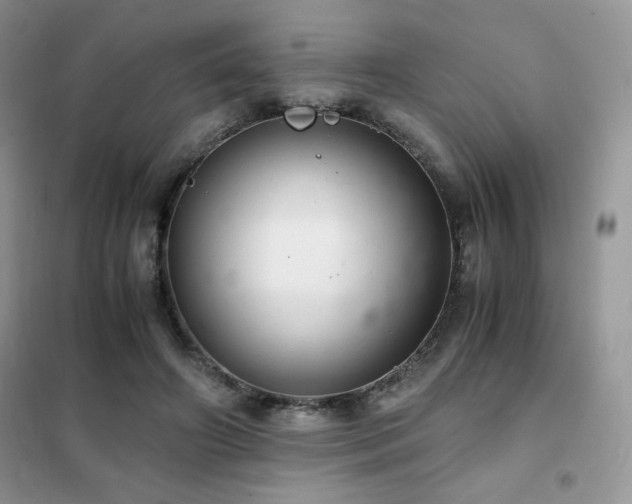 X0000102380498200808011540