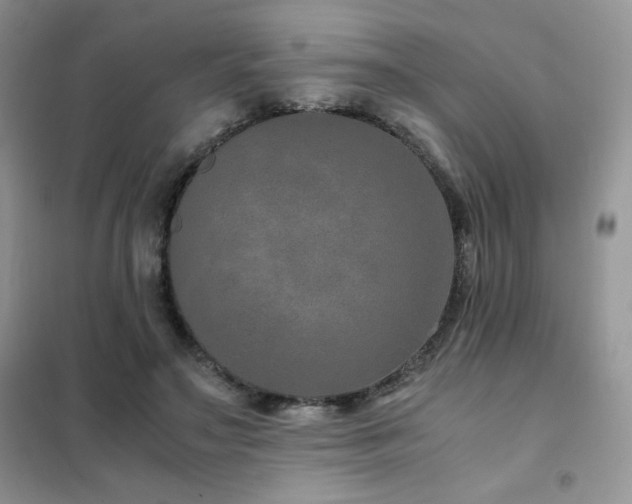 X0000102380499200808011540