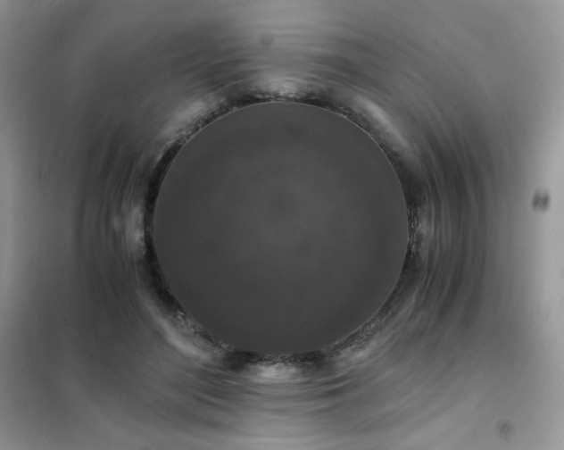 X0000102380500200808011540